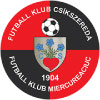 logo Csikszereda